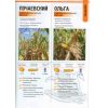Предлагаем семена кукурузы разных гибридов от молдавского производителя