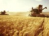 Украина может конкурировать с США в экспорте зерна