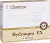 Hydrangea EX (Экстракт Корня Гортензии) — Биологически Активная Добавка к пище (БАД)