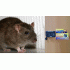 Тайфун ЛС 800 ультразвуковой электронный отпугиватель грызунов, мышей и крыс