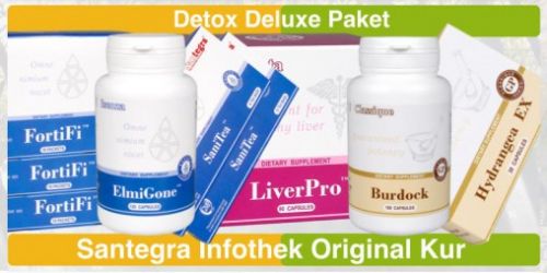 59_Santegra-Detox-Deluxe-Paket_Santegra-Infothek-original-kur-web2-508x254