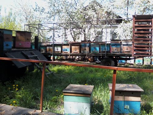 продажа мёда в Воронеже