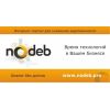 Возврат долгов Nodeb.pro