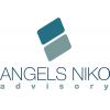 ТОО «Angels Niko Advisory»