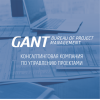GANT BPM, консалтинговая компания