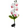Светильник садово-парковый на солнечной батарее Орхидея белая с розовым, 5 LED белый, 70см , PL301