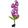 Светильник садово-парковый на солнечной батарее Орхидея фиолетовая, 5 LED белый, 70см , PL301