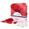 Любовный набор Lovers Premium Bed of Roses Red
