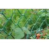 Забор садовый пластиковый 1,5*25М зеленый