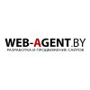 Web Agent Digital агентство, продвижение сайтов в интернете