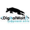 Цифровой Волк - Надежный помощник при разработке ИТ-решений