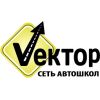 Vector сеть автошкол