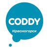 Школа программирования CODDY Красногорск