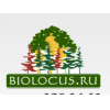 Питомник деревьев крупномеров Биолокус