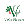 VeGa Flowers, салон стабилизированых цветов и растений ООО Комильфо