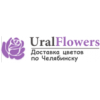 Ural Flowers